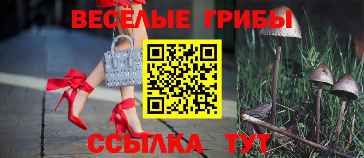 Псилоцибиновые грибы мицелий  Вход с VPN  Зеленокумск  Галлюциногенные грибы GOLDEN TEACHER 