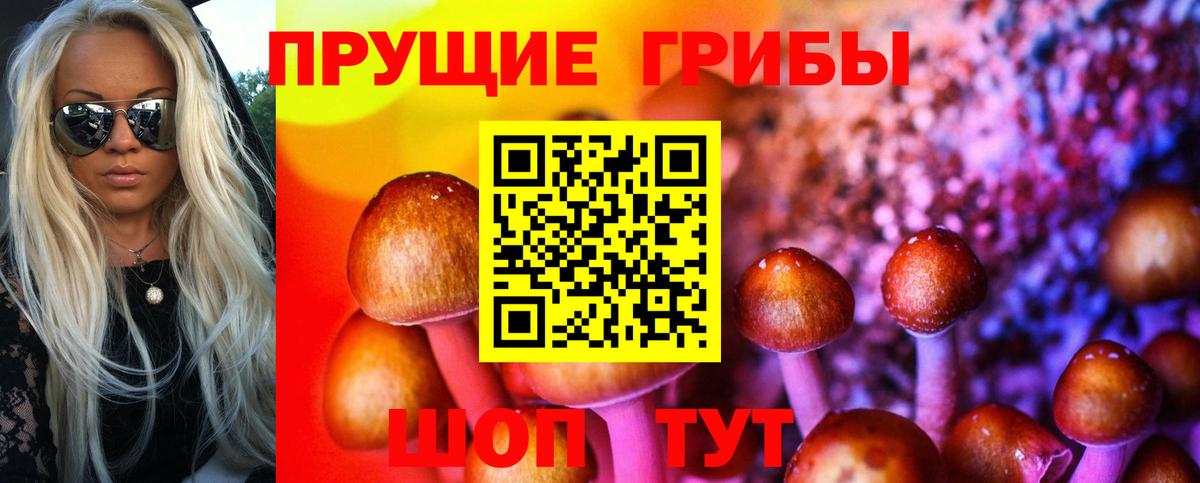 Галлюциногенные грибы Psilocybine cubensis Зеленокумск